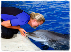 A trainer leans over the edge of a pool to kiss a dolphin.
