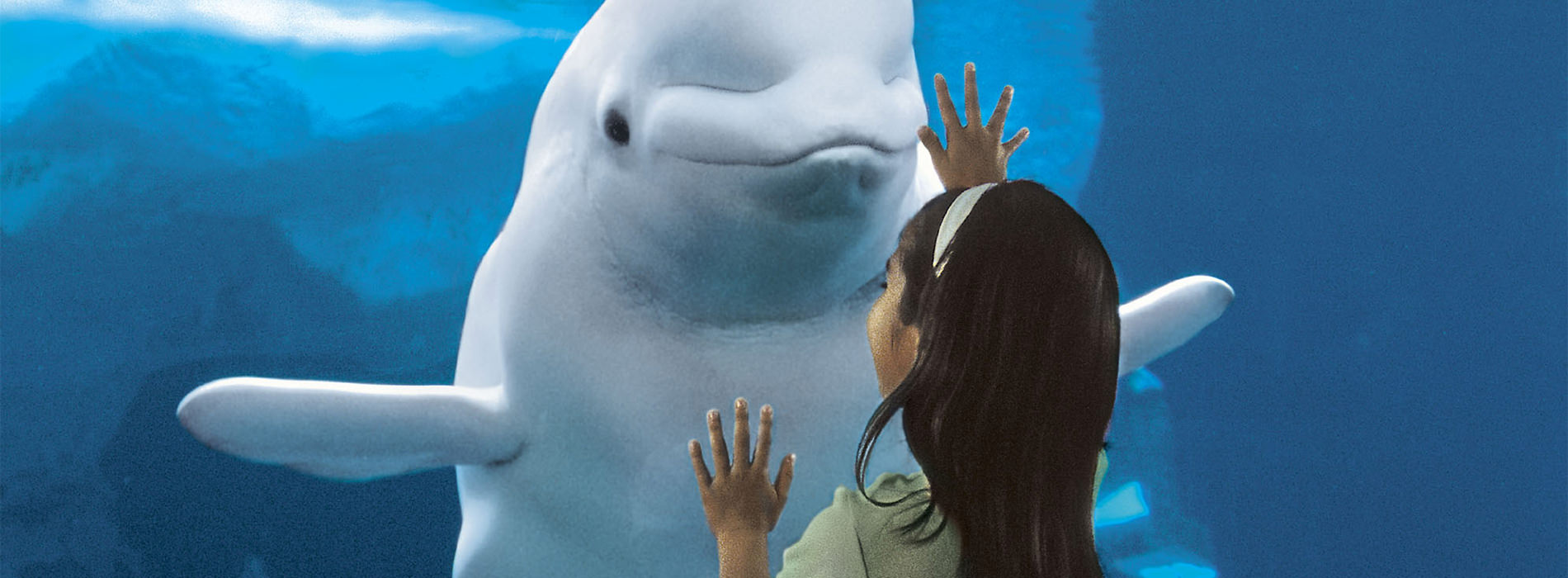Little girl connecting with beluga