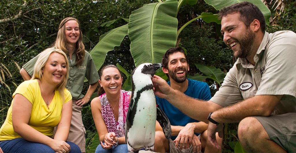 A zookeeper with a penguin and guests
