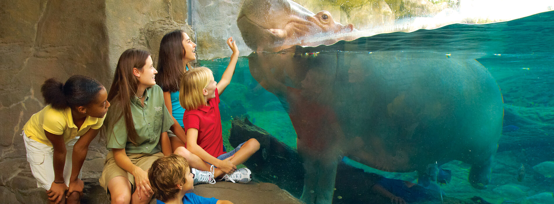 Teachers and Educators Camps at Busch Gardens Tampa Bay