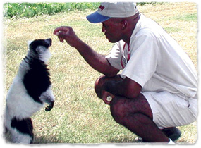 A lemur stands on hind legs and extends its head toward a veterinarian's hand.