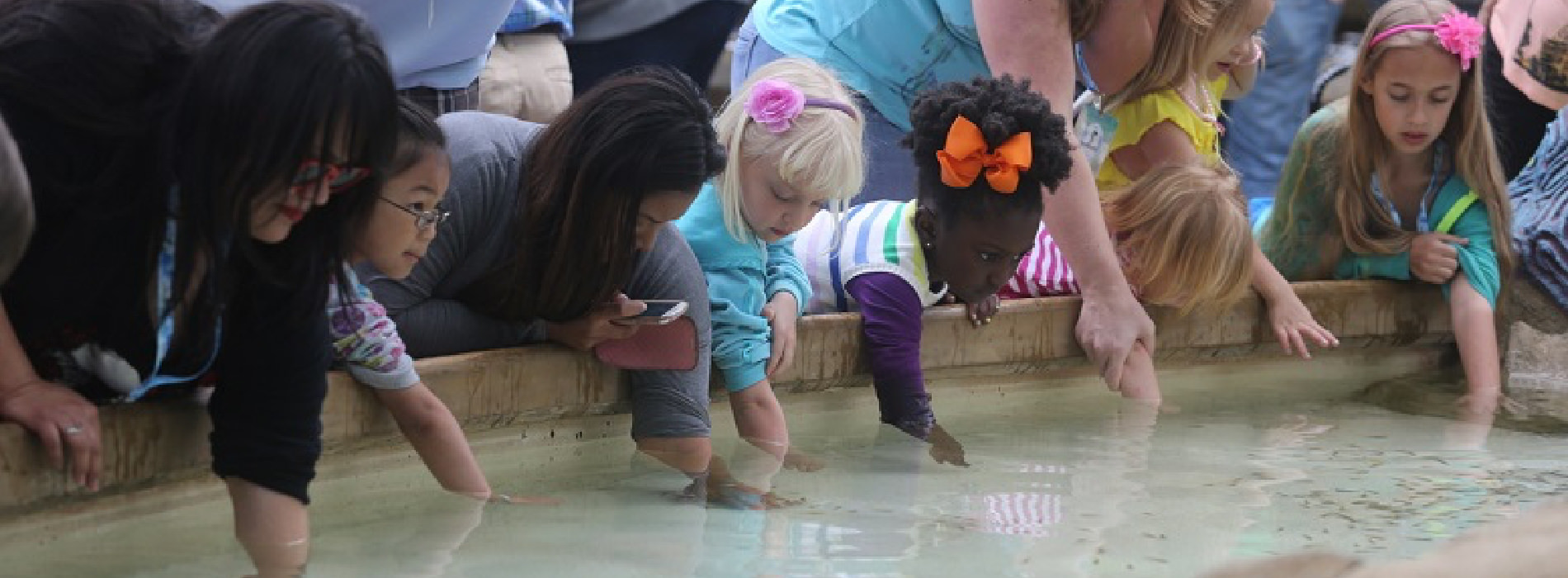 Young children reach into a shallow tank to touch marine life