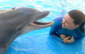 Sea World animal trainer with bottlenose dolphin