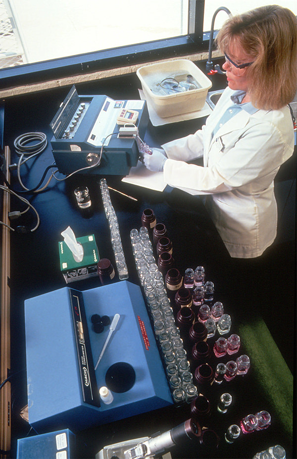 A veterinarian performs laboratory tests