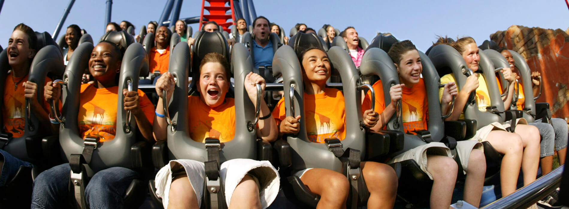 7-8 Day Camps at Busch Gardens Tampa Bay