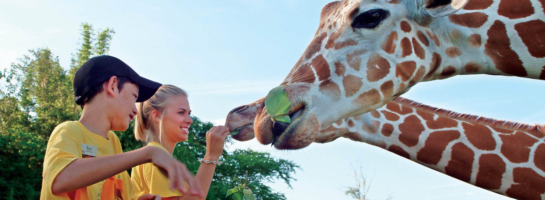 9-12 Day Camps at Busch Gardens Tampa Bay