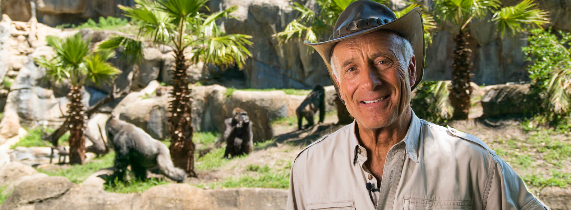 Busch Gardens Tampa Bay 2018 Events Jack Hanna Weekend