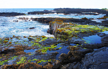 Tide Pools