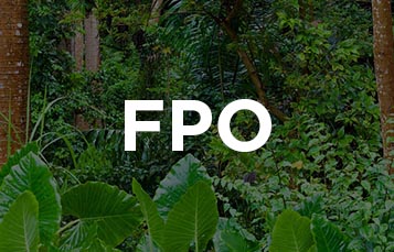 FPO