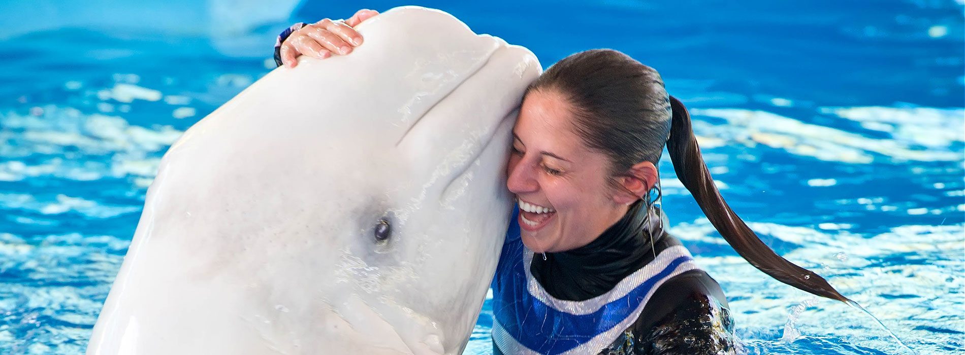 Animal Trainer and Beluga Whale