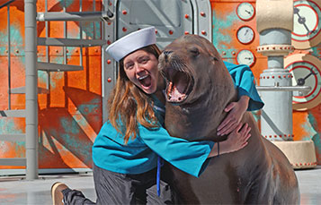 Animal Trainer and Sea Lion