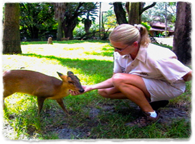 A Busch Gardens keeper holds the head of a young deer.