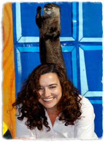 A sea otter waves while standing on a trainer's back.
