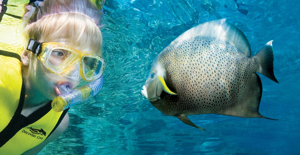 Boy snorkels with fish