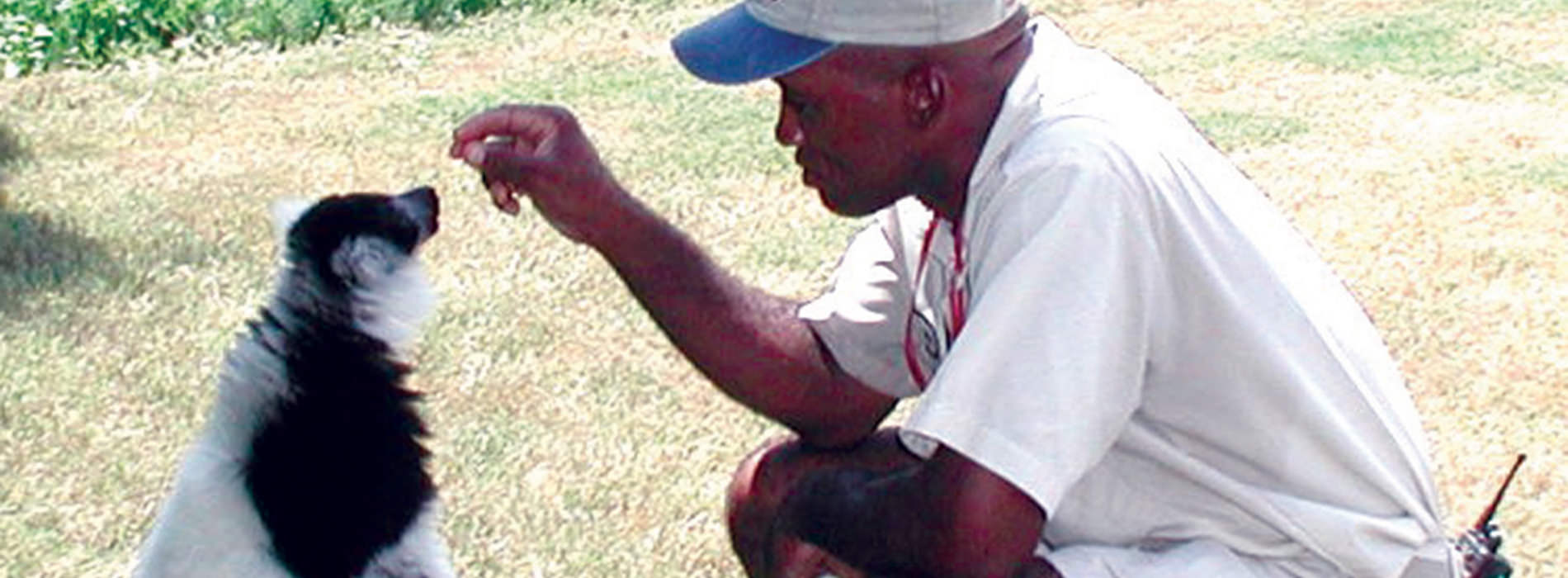 Man feeding a black and white primate