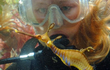 Baby otter resting in his water dish