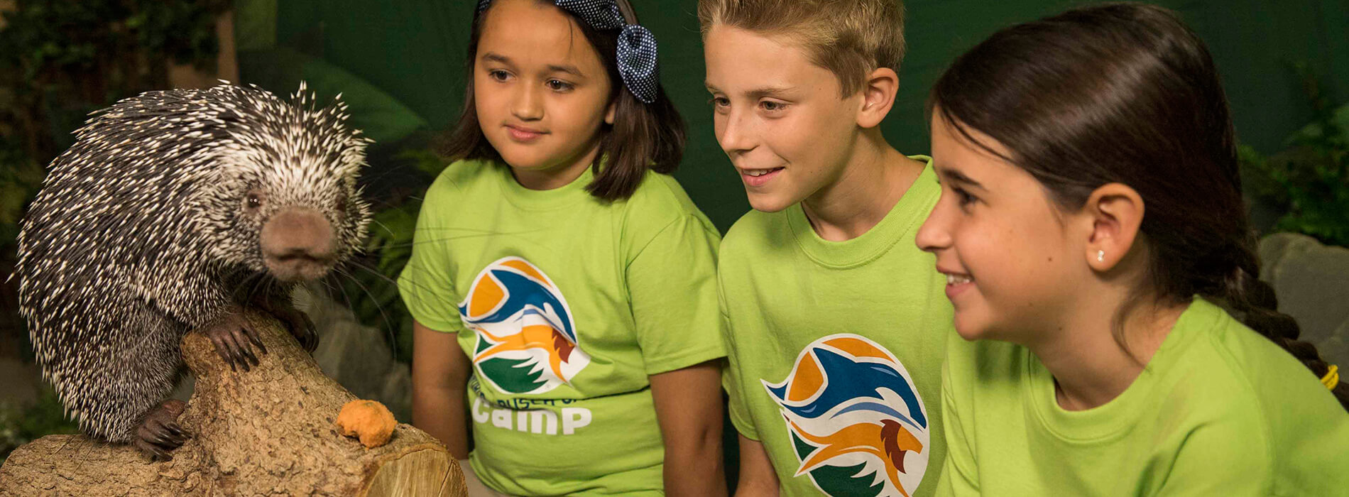 3-4 Day Camps at Busch Gardens Tampa Bay