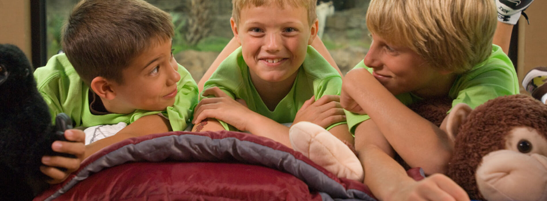 Overnight Camps at Busch Gardens Tampa Bay