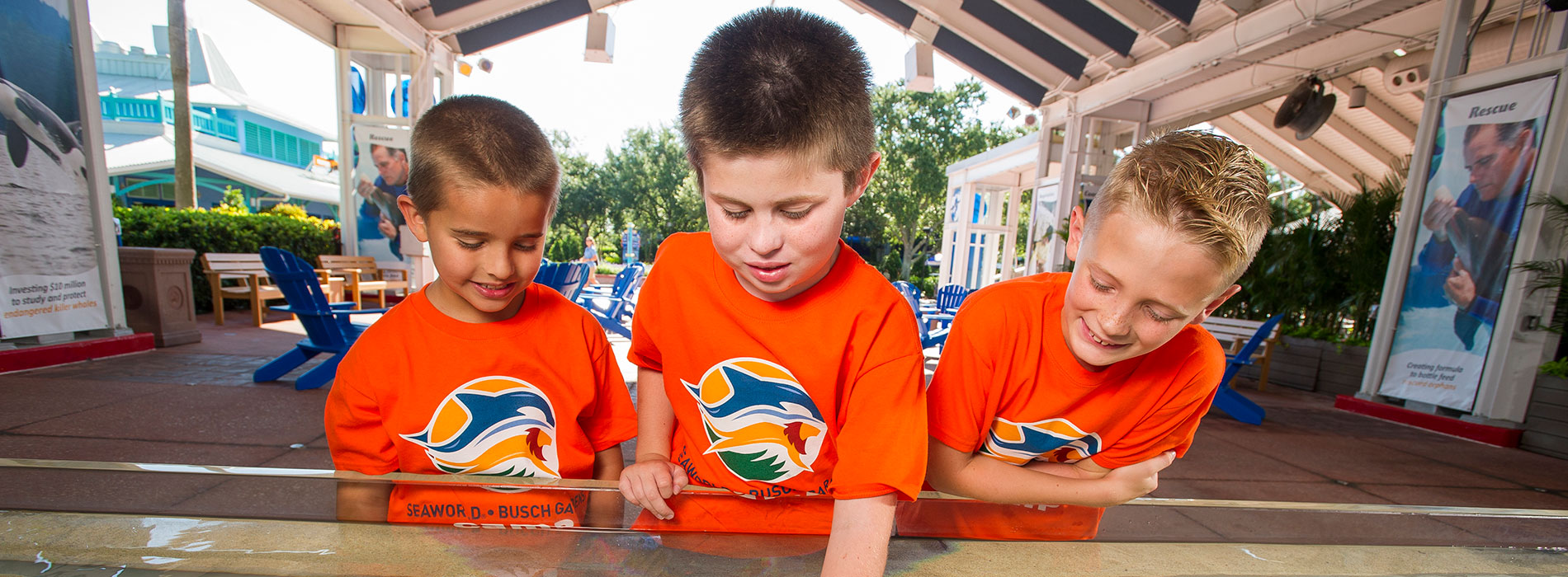 Campers from Busch Gardens