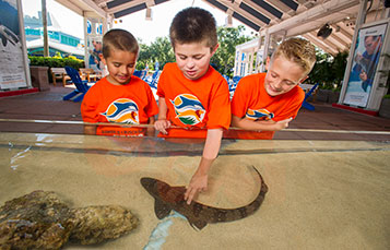 Campers from Busch Gardens