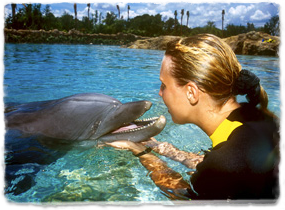 A trainer face-to-face with a dolphin pets its head.