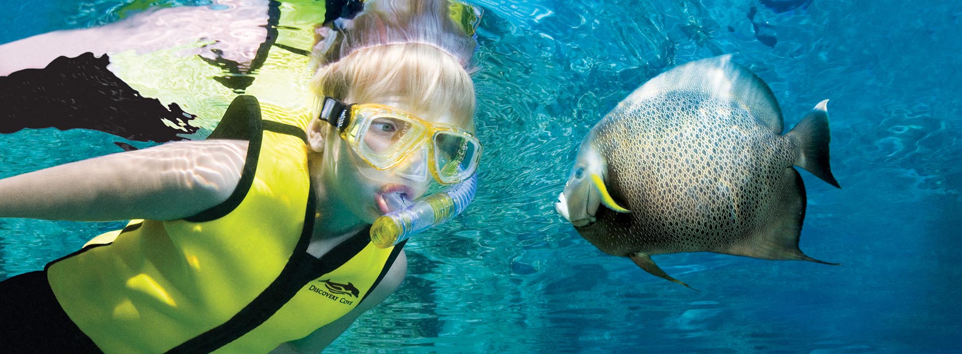 Boy snorkels with fish