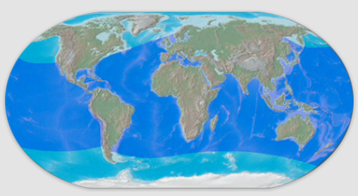 dolphin distribution map