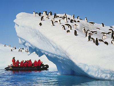 researchers observing penguins on iceberg