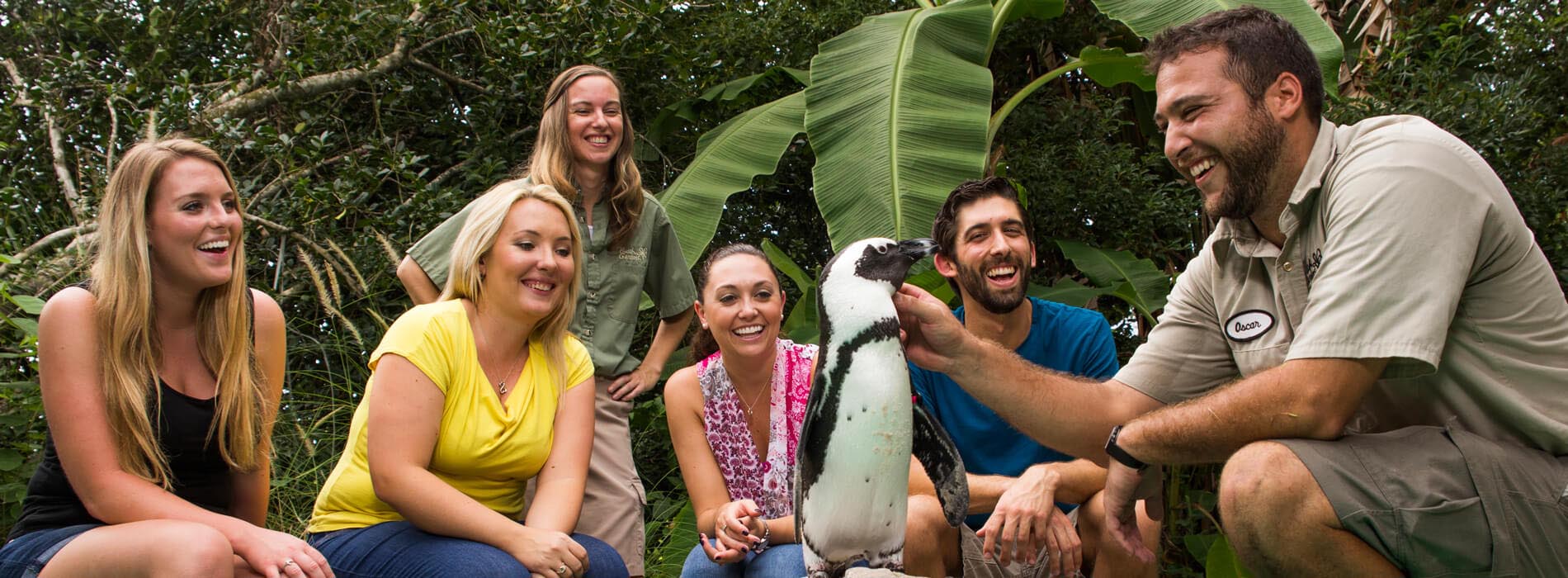 A zookeeper with a penguin and guests
