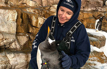 Sea World animal care specialist with penguin