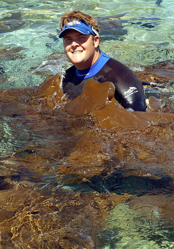 A trainer in the water surrounded by cownose rays