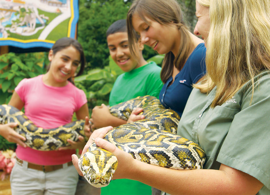 Several people hold a large snake