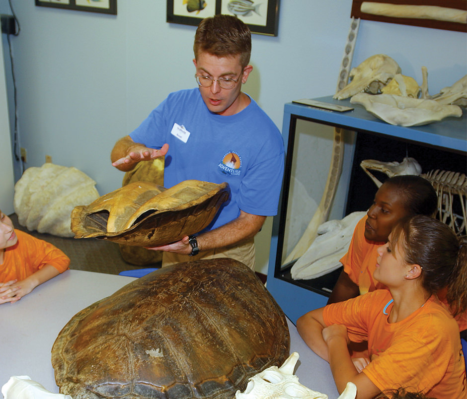 An educator shows children museum specimens of turtle shells