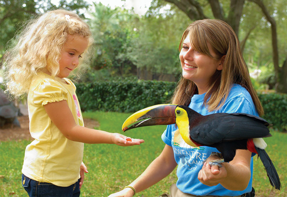 An educator holds a toucan while a girl holds her hand out to it