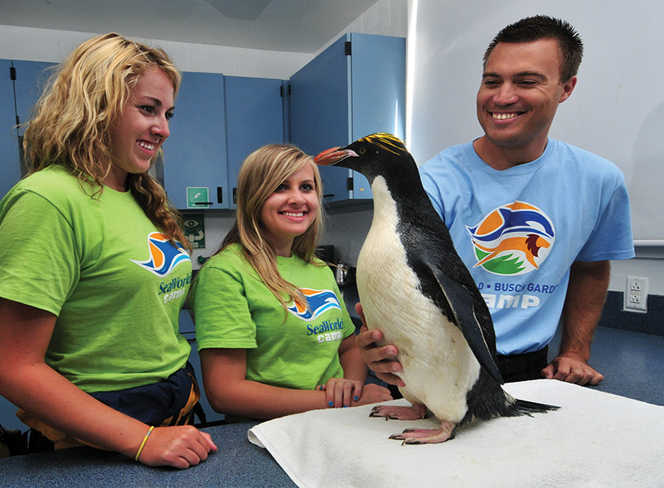 An educator and two students observe a penguin on a table