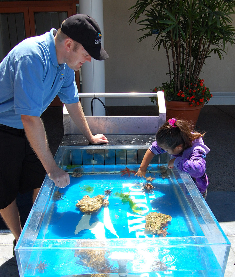 A child touches a sea urchin in a small tank while an educator observes