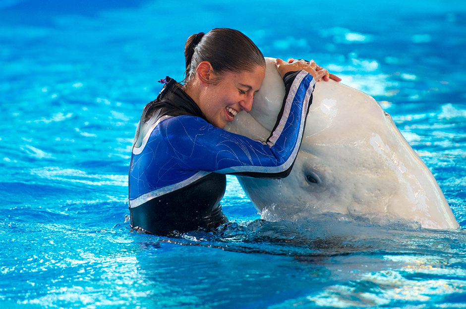 A trainer in the water hugs a dolphin