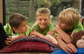 Overnight Camps at Busch Gardens Tampa Bay
